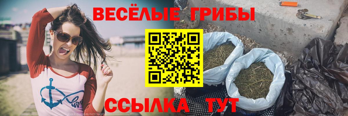 Галлюциногенные грибы мицелий Соликамск