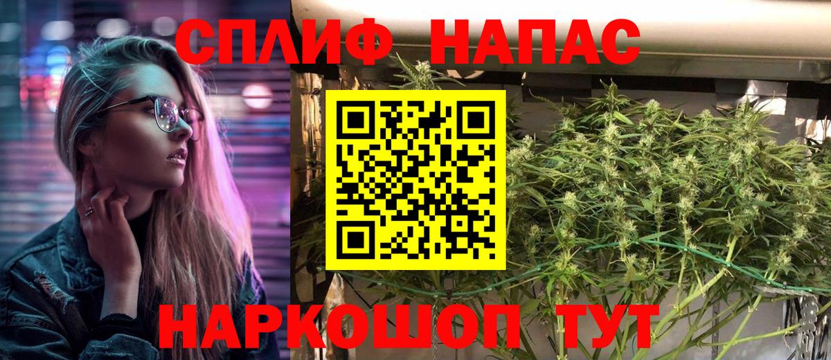 Канабис OG Kush  Вход с VPN  Соликамск  Канабис ГИДРОПОН 